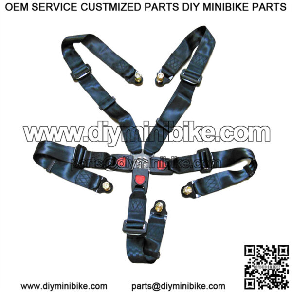 5 Point Seat Belt & Shoulder Harness (6.000.354)