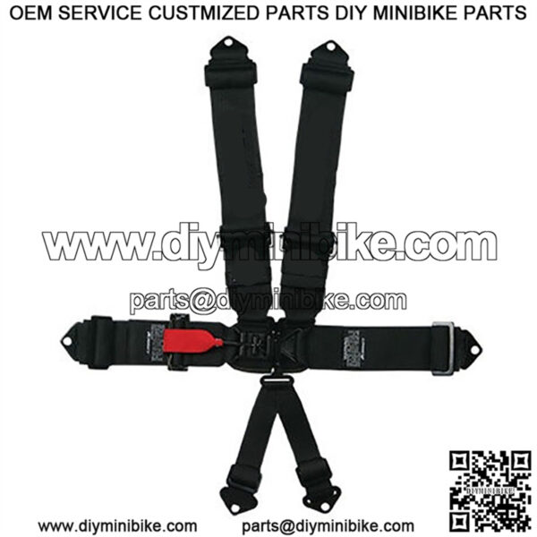 Impact Racing Latch and Link Driver Restraint System