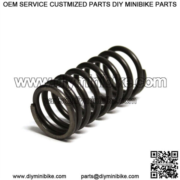 Intake Valve Spring