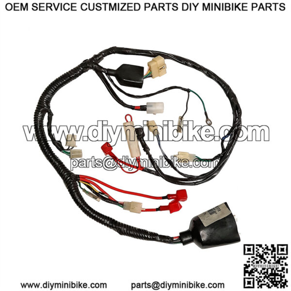 Main Wire Harness for Baja Wilderness 90cc ATV