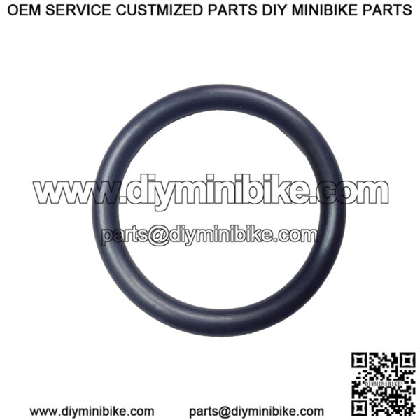 O-Ring Gasket (30.8 x 3.5)
