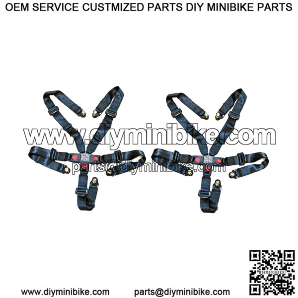 Set of 2, 5 Point Seat Belt & Shoulder Harness (6.000.354)