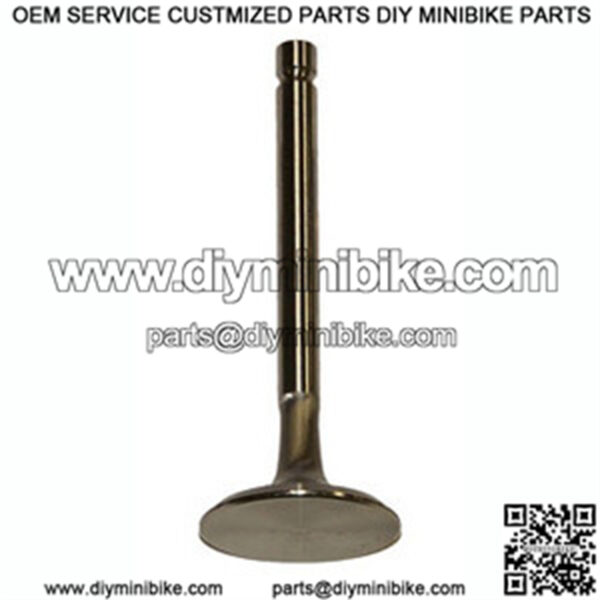 Stainless Steel, Exhaust Valve (24mm) for 212cc Predator Engine