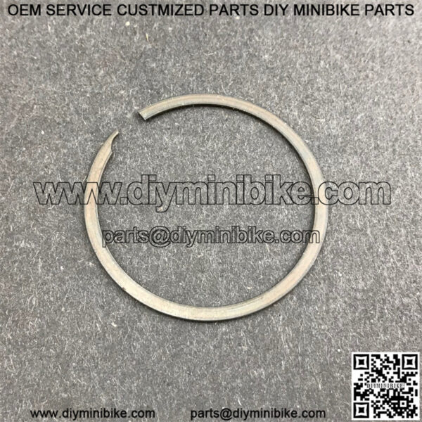 Cheetah Clutch Sprocket Retaining Ring