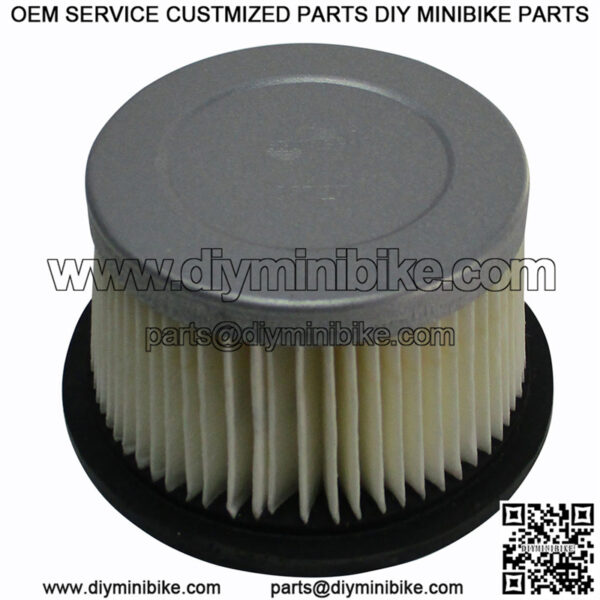 Tecumseh OEM Air Filter HS40 HS50 & Others