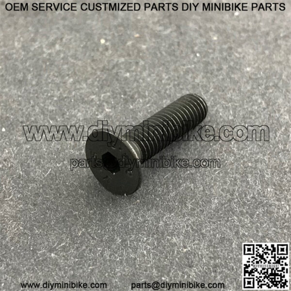 Cheetah Clutch Adjusting Screw