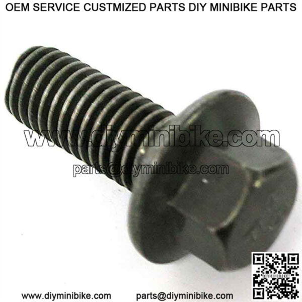 DB30S-150 Baja OEM Flanged Bolt M8-1.25X20 (FT)