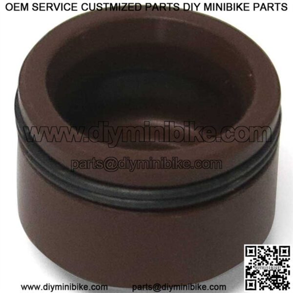 DR90-039 Baja OEM Valve Stem Seal Group