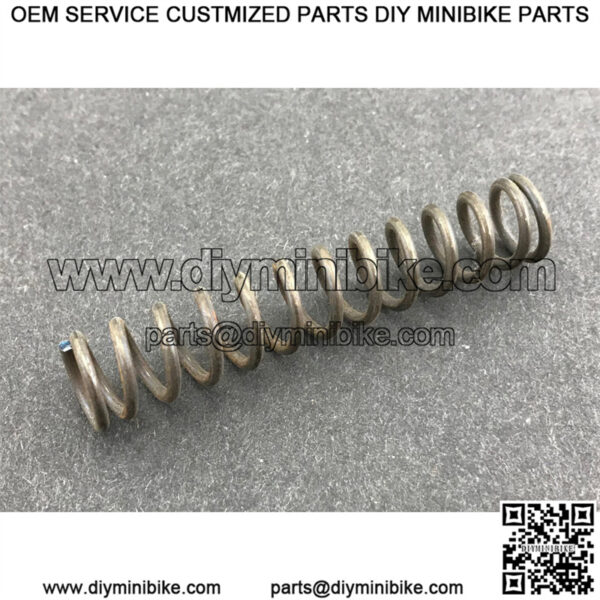 Master Cylinder Spring