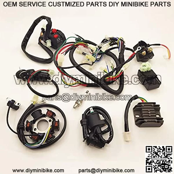 DSparts, Complete Electrics Stator Coil CDI Wiring Harness Wire Loom Assembly Fit for GY6 4-Stroke ATV QUAD Engine Type