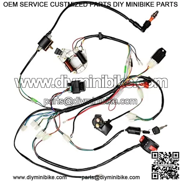 Complete Electrics Stator Coil CDI Wiring Harness Rectifier Solenoid Relay for 50cc 70cc 110cc 125cc Kazuma Taotao Kangdi 4 Wheeler Chinese ATV Quad