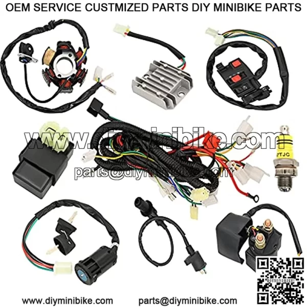 Rain King Complete GY6 Wiring Harness kit Electrics Stator Coil CDI Ignition Coil for Wiring Harness 50cc 70CC 90CC 110CC 125cc 4 Stroke ATV Dirt Bike Moped Quad Go Kart Scooter