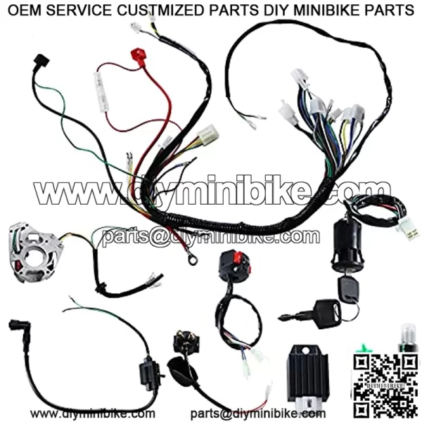 Complete Wiring Harness kit for ATV Quad 4 Four Wheelers 50CC 70CC 110CC 125CC Go Kart Dirt Pit Bikes, with Electrics Stator Coil CDI Wiring Harness Solenoid Relay Spark Plug