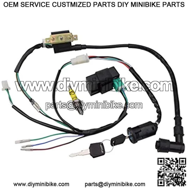 Rebuilt Ignition CDI Wiring Kit Harness for 50cc 70cc 90cc 110cc 125cc Stator CDI Coil ATV Quad Bike Buggy Go Kart