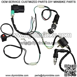 Wire Harness Wiring Loom CDI Ignition Coil Spark Plug Rebuild Kit for 50cc 70cc 90cc 110cc 125cc Stator CDI Coil ATV Quad Bike Buggy Go Kart