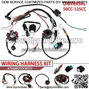 Hasde Wire Harness Wiring Loom CDI Ignition Coil Spark Plug Rebuild Kit for 50cc 70cc 90cc 110cc 125cc ATV Electric Stator CDI Coil ATV Quad Bike Buggy Go Kart