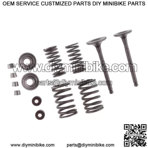 Kit de Reconstruccin de Resorte de Vlvulas de Escape de Admisin para 110 Cc  Dirt  Vlvulas de escape de admisin Resortes